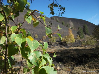 nti Sartorius-01-11-2012 09-57-19